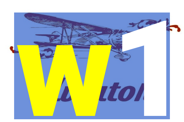 w1-boxing png